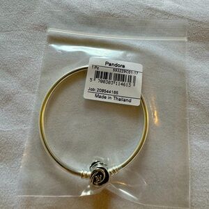Pandora Moments Encircled Clasp Bangle